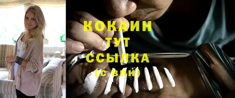 где продают наркотики  площадка какой сайт  мега вход  Кокаин Fish Scale  Кольчугино 